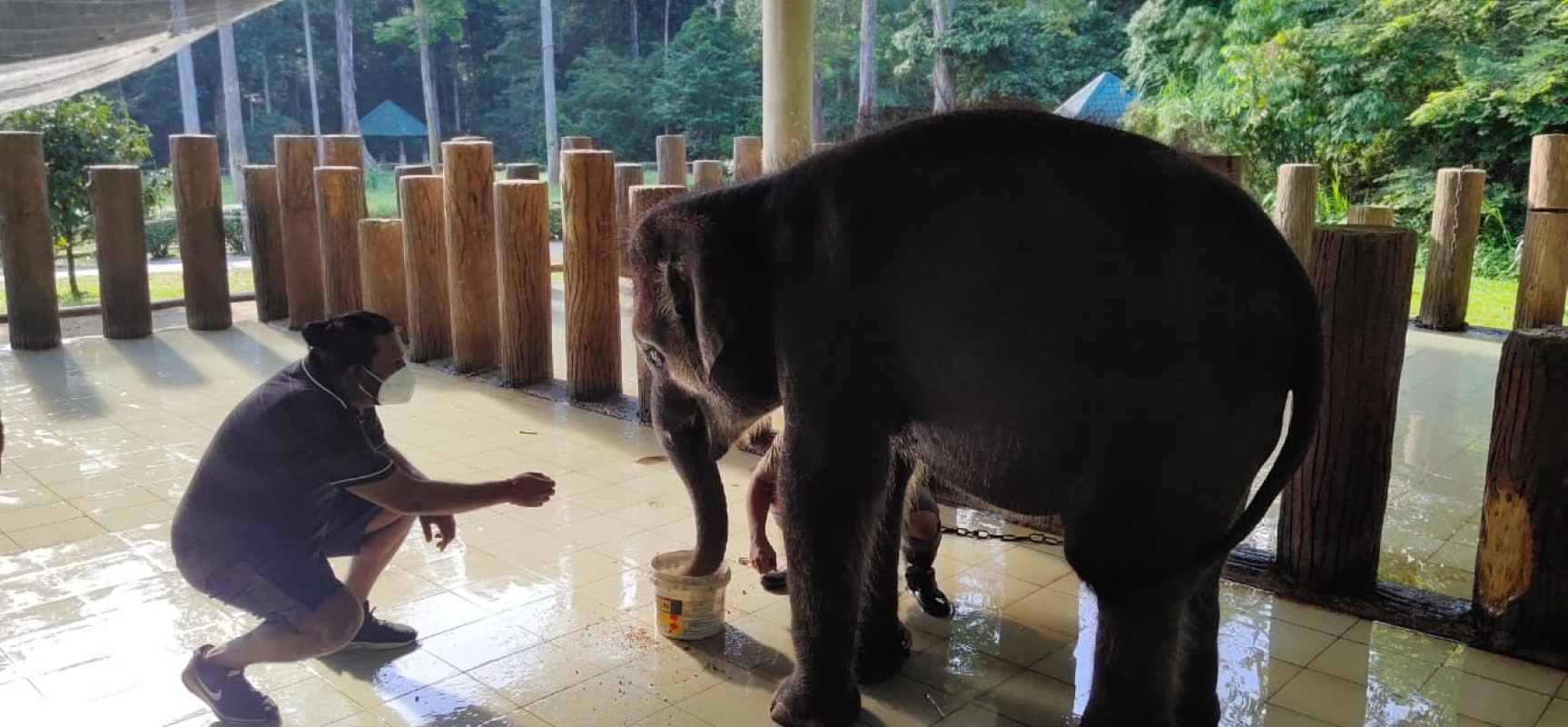 Elephant Sanctuary Tour with Deerland Visit