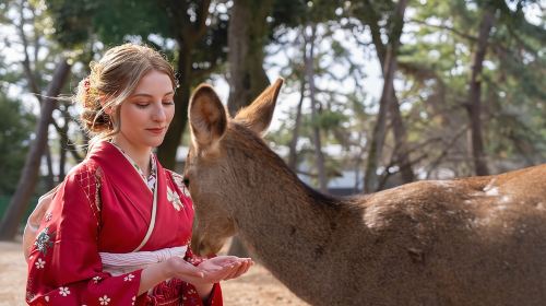 Nara Early Morning Tour (Kyoto or Osaka Departure Available) Day Tours