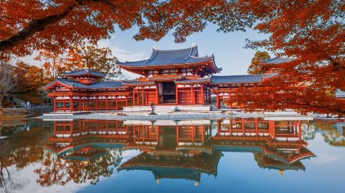Kyoto & Nara 7 Major Spots Highlights Day Tour