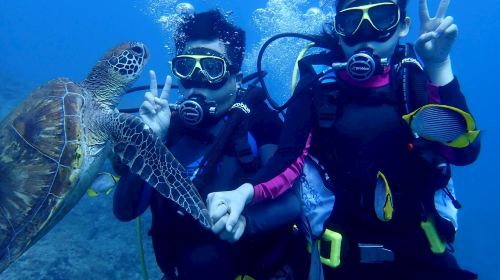 Pingtung Liuqiu Island Diving Experience diving diving 2 Hours [Limited Offer | Xiaoliuqiu Little Turtle]