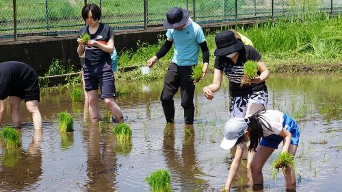 Smile Village Someya Farm - Unique Japanese Local Farm Experience