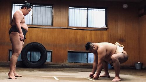 Tokyo Ryogoku Sumo Morning Practice + Photo Shoot with Wrestlers Day Tours