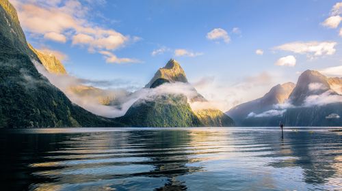 Milford Sound Scenic Cruises