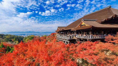 1-day tour in Kyoto and Uji – Kinkaku-ji & Kiyomizu-dera Temple & Byōdō-in - exploring temples and shrines