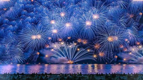 [Oarai Sea Fireworks Festival one-day tour] Encounter Romantic Fireworks and Dreamy Flower Sea on a one-day tour