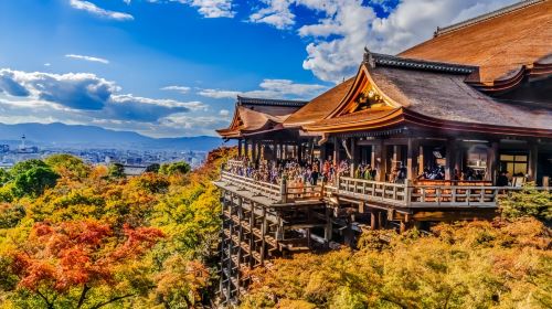 [Kyoto ancient street cultural experience 1-day tour] Kiyomizu-dera Temple + Sannenzaka & Ninenzaka + Byodo-in Temple Day Tours