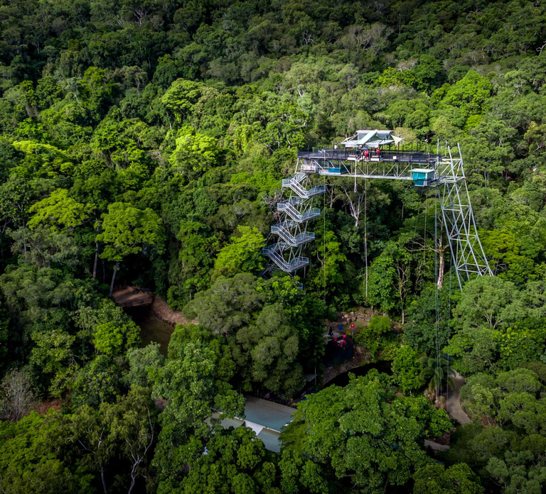 Cairns: Rainforest Bungy Jump - Australia's Only Bungy
