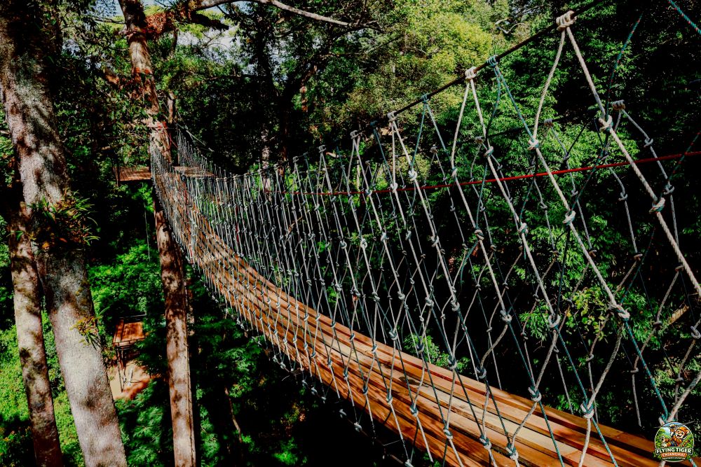 Flying Tiger Zipline Chiang Mai