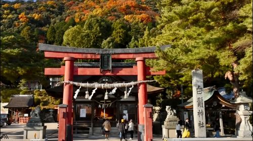 1-day tour to Lake Biwa, Shirahige Shrine and Omihachiman in Shiga, Japan