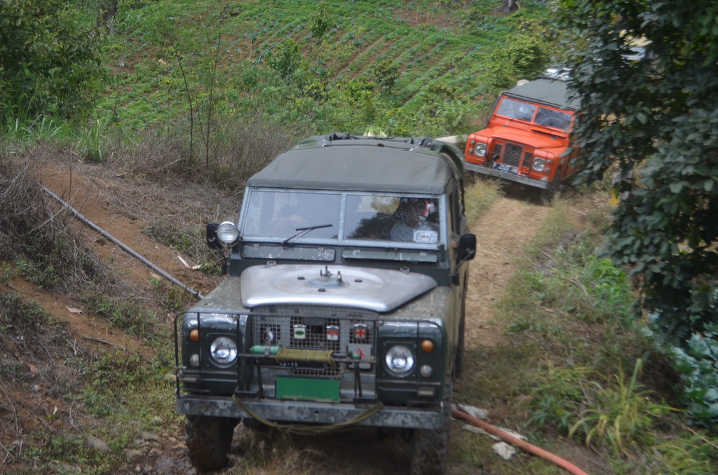 Fun Offroad Pangalengan Bandung – Land Rover Pine Forest Adventure