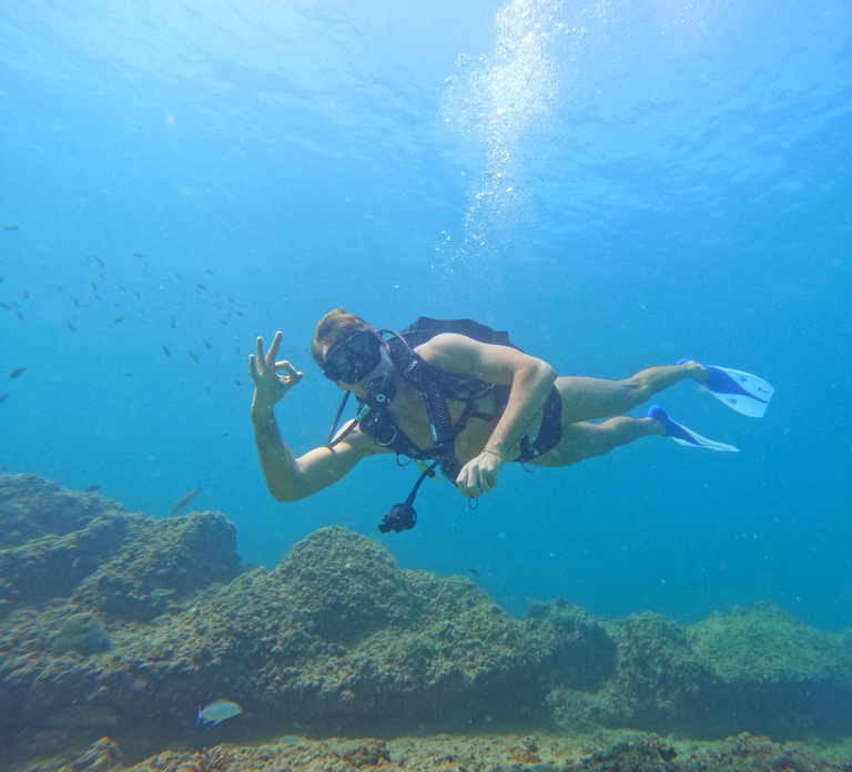 From Abu Dhabi: Scuba Dive and Snorkeling with Transfer
