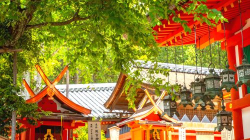 One-Day Tour in Kyoto and Nara