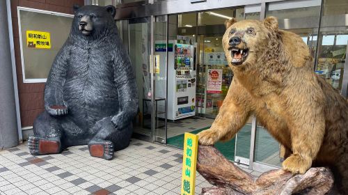 Showa Shinzan Bear Ranch · Showa-shinzan · Shikotsu Toya National Park Silo Observation Deck · Cape Chikyu · Lake Shikotsu 1-day tour Day Tours