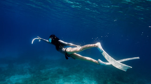 Okinawa Kerama Islands Snorkeling Experience/FUN Diving Tour from Naha, Japan