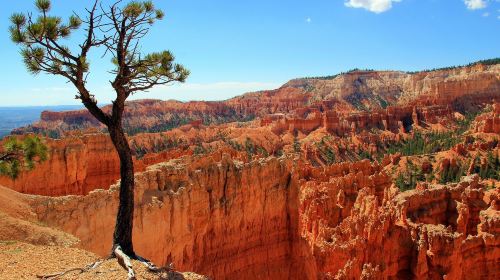 Bryce Canyon and Zion National Parks Day Tour From Las Vegas with Lunch