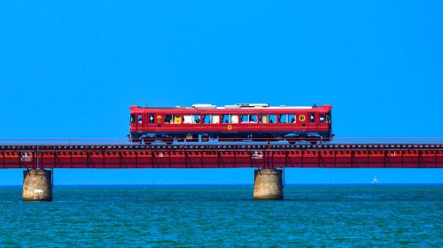 Kyoto Tango Railway Spirited Away Sea Train Amanohashidate and Ine Boat Houses 1-day Tour with Tickets Included