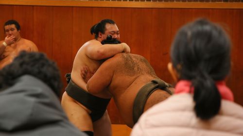 Tokyo Sumo Morning Practice: Viewing & Exclusive Interaction Day Tours