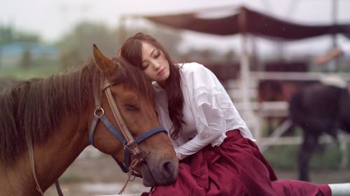 New Taipei Travel Photography