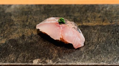 Sushi in Tokyo | Sushi Mitsuyoshi | Hidden Edomae Gem Near Shinjuku Gyoen