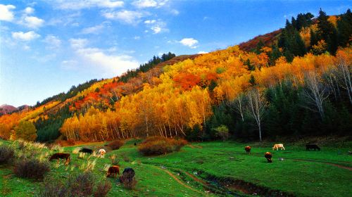 Tianshan Tianchi