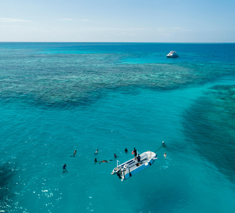 Cairns: Outer and Coral Cay Snorkel and Dive Cruise
