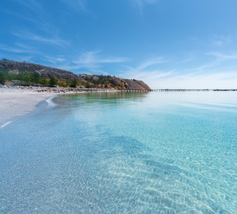 Wirrina Cove: Coastal Sightseeing Boat Tour with Seal Colony