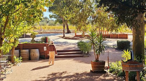 Melbourne: Murray River Paddle Steamer, Wine & Wildlife Tour