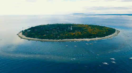 Bohol Panglao Island Hopping Tour