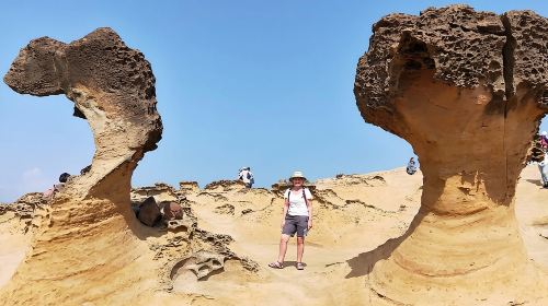 Full-Day Private Northern Taiwan Tour from Taipei with Pickup Day Tours