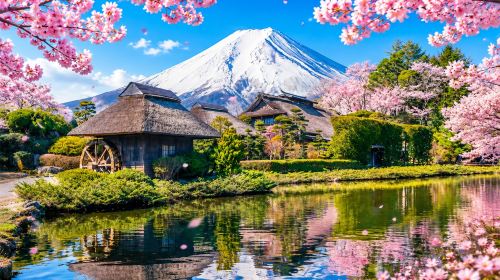 Tokyo: Hakone & Mt. Fuji Day Tour [Heiwa no Torii(Lake Ashi) + Hakone Shrine + Hakone Sightseeing Cruise + Hakone Ropeway + Owakudani + Lake Yamanaka + Oshino Hakkai | Includes Hakone Ropewayfare(one-