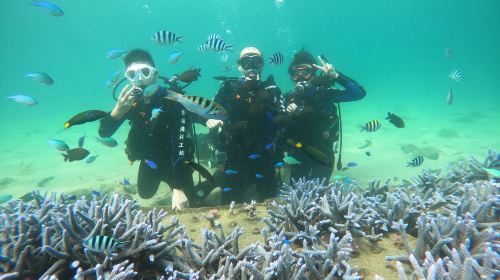Penghu Islands Diving Experience diving diving 2 Hours – 2025 Penghu Fireworks Festival