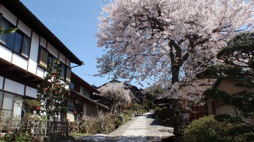 1-day tour to Inuyama Castle, Inari Shrine, Ena Gorge, Magome, and Tsumago-juku