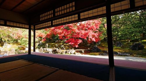 Kyoto: Timeless Kodaiji - Journey Through Historic Kyoto Day Tours