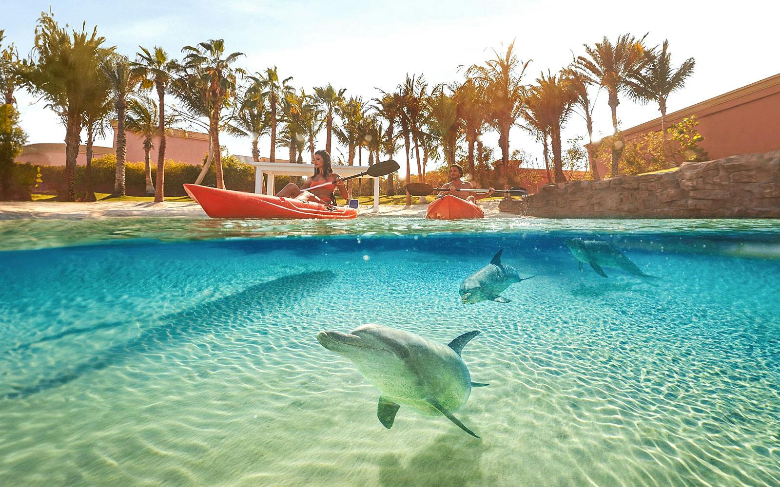 Atlantis The Palm Dolphin Kayak or Paddle Tickets