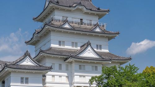 Hakone Fuji 6 Spots Day Tour with Bullet Train Return Day Tours