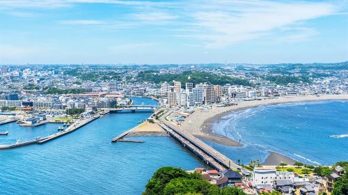 Tokyo: Kamakura, Enoshima Trip With Train Ride, Great Buddha Day Tours