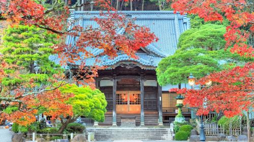 JR Pass Fuji and Shizuoka area mini 3-day rail pass [free global EMS shipping - shipped from Taiwan]