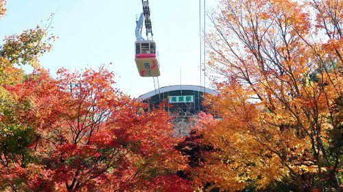 1-day tour to Beppu cable car: Dazaifu Tenmangu Shrine, Yufuin, Lake Kinrin and flower village Day Tours