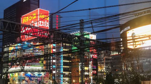 Shinjuku Golden Gai Food Tour Day Tours