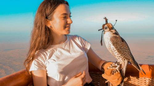 Premium  Hot Air Balloon Sunrise Tour with Exlusive In-Flight Falcon Show, Breakfast, Camel,Transfer