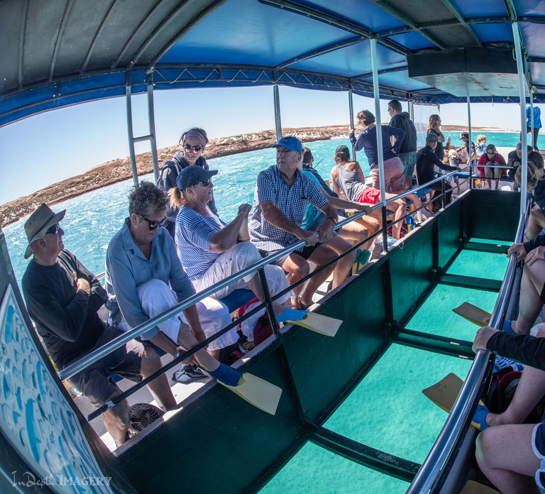 Coral Bay: 2-Hour Coral Viewing and Snorkeling