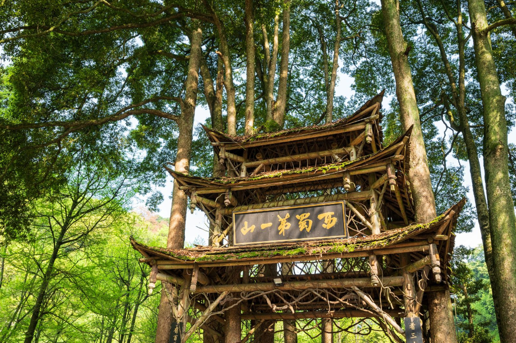 Mount Qingcheng (Front Mountain) Admission Ticket