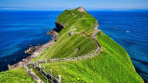 Shiroi Koibito Park Day Tours
