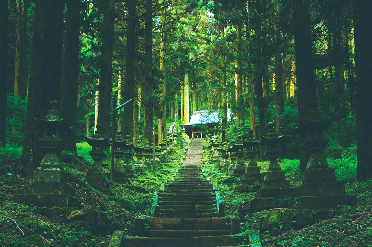 One-day tour of Kamishimi Kumanozha Shrine, Aso no Motogo, Kukino, and Kurokawa Onsen | Kumamoto