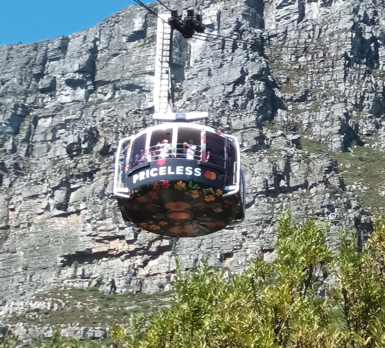Cape Town: Table Mountain Cable Car Ticket