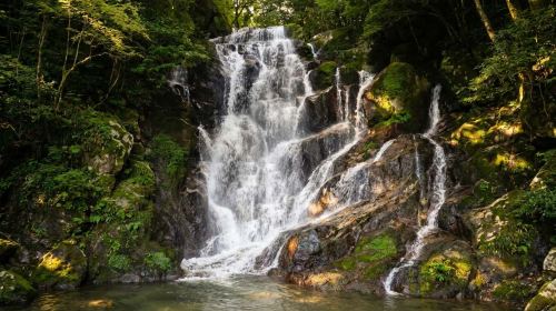 1-day tour to Yanagawa Itoshima couple stones, Ichiran ramen, cruise, Shiraito Falls and Dazaifu
