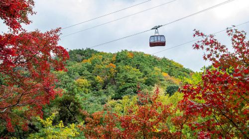Kobe Sightseeing Smart Pass (1 Day/2 Days Pass)