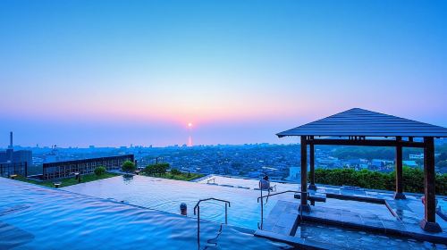 Kyushu Beppu Suginoi Onsen Tour Day Tours