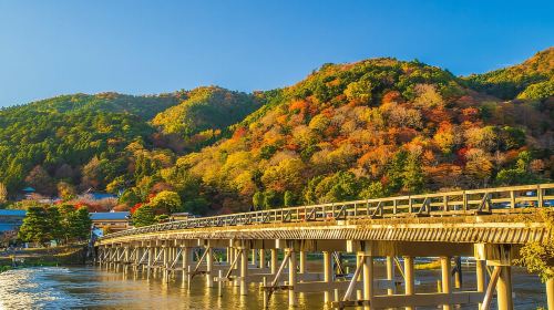 Kyoto1-Day Tour from Nagoya with Kobe Beef Shabu-Shabu Lunch
