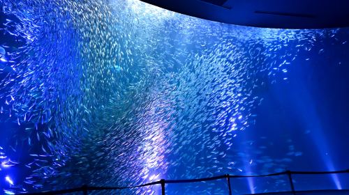Port Of Nagoya Public Aquarium